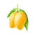 Devgad Farms