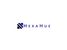 HEXAHUE CLOTHINGS (OPC) PRIVATE LIMITED