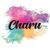 Charu Creation Pvt Ltd